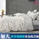 Artis -天絲 加大床包枕套組 - 台灣製-水上夥伴