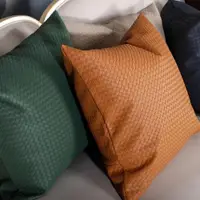 在飛比找ETMall東森購物網優惠-簡約編織抱枕客廳北歐輕奢皮革