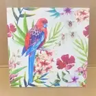 Australian Rosella Parrot Bird Kitchen Bench Trivet | Australian Wildlife Giftwa