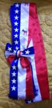 US Democratic Party Democrat Parade Election Sash Vote Rally Candidate Political