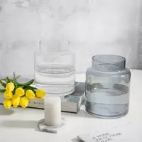 在飛比找ETMall東森購物網優惠-現代簡約ins水培透明玻璃花瓶擺件客廳插花輕奢北歐風格水養鮮