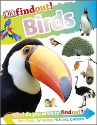 在飛比找三民網路書店優惠-DKfindout! Birds