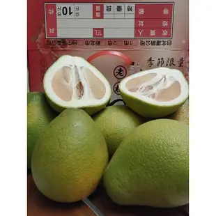 麻豆文旦10斤老欉45-55年禮盒