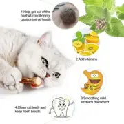 2pks of Cat Catnip Chew Sticks Natural Matatabi Silvervine Chew Toys Cat Treat