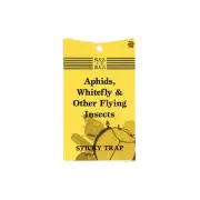 Sticky Fly Trap. Aphids, Whitefly, Scarid Fly/Fungas Gnat And Other Insects