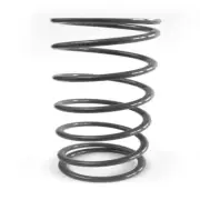 Fits 2012 Can-Am Commander 800R Secondary Driven Clutch Spring 5297341