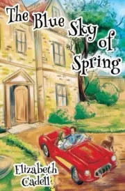 THE BLUE SKY OF SPRING (WAYNE FAMILY) (VOLUME 2) By Elizabeth Cadell *BRAND NEW*