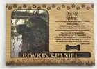 BOYKIN SPANIEL Dog Profile Laser Engraved Wood Picture Frame Magnet