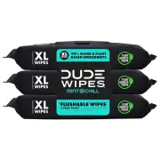 - Flushable Wipes - 3 Pack, 144 Wipes - Mint Chill Extra-Large Adult Wet Wipes -