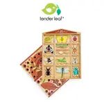 美國【TENDER LEAF】野生昆蟲旅館 木質玩具 木頭玩具 兒童玩具 昆蟲玩具 ｜翔盛國際BABY888