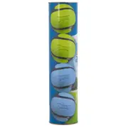 Chuckit Sniff Fetch Balls Medium Dog Toy