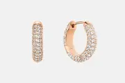 Daniel Wellington PavA(C) Earrings RG