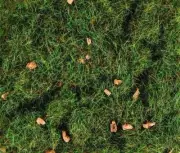 Static Grass 4mm Summer Alpine 20g - Peco PSG-415 - ground cover