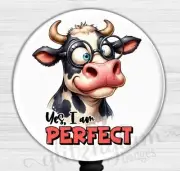 Funny Retractable Badge Holder Reel, Sarcastic Saying Badge Holder GG6608B