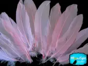 1/4 lb - light Pink Goose Satinettes Wholesale Loose Feathers (bulk) Craft Party