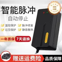 在飛比找露天拍賣優惠-雅迪電動鉛酸蓄48v12a充電器簡易電動機車通配60v20a