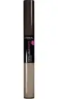 L'Oreal Infallible Paints Eye Shadow Duo 320 NEW