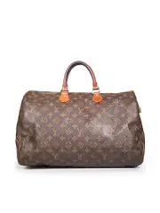 Brown Monogram Speedy Handbag