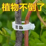 植物瓜果 植物夾 塑料綁蔓夾 綁枝夾 弔蔓夾 扶蔓夾 西紅柿夾 藤蔓固定夾 容容優選