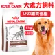 【法國 ROYALCANIN皇家】愛犬處方-LF22腸胃低脂 LF22 腸胃道低脂配方 處方飼料1.5kg/6kg