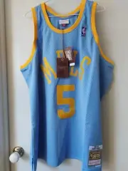 Robert Horry Los Angeles Lakers '01-'02 Mitchell & Ness NBA Jersey Size 2XL