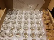 MaxMau 36PCS Tiny Glass Bottles with Corks and Eye Screws,3ml Cute Little Jars C