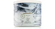Bath & Body Works Book Loft scented candle 411 g