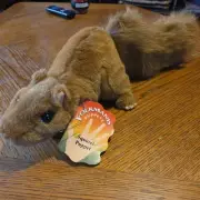Folkmanis Squirrel Hand Puppet Brown Plush Stuffed Animal 20"