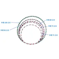 在飛比找蝦皮購物優惠-【10入裝】 100公分外徑 音律彩虹呼拉圈/韻律呼拉圈/呼