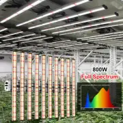 PHLIZON 800W 2880 LED Plant growing light full spectrum LED Grow Light Veg Bloom