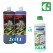 Budrite A+B 2x1L Hydroponics Nutrients + 1L HY-GEN Budlink Combo