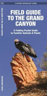 Field Guide to the Grand Canyon: A Folding Pocket Guide to Familiar Plants & Ani