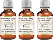 Greenwood Essential Pure May Chang Essential Oil (Litsea cubeba) Steam Distilled for Personal Care (Pack of Three) 100ml X 3 (10oz)
