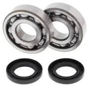 Crank Bearing & Seal Kit~1993 Kawasaki KX500 All Balls 24-1011