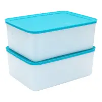在飛比找蝦皮購物優惠-新特百惠（Tupperware）保鮮盒冷凍超大保鮮盒2件套冰