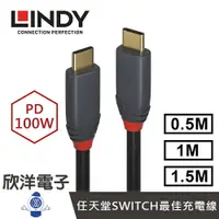 在飛比找樂天市場購物網優惠-※ 欣洋電子 ※ LINDY林帝 USB 3.2 GEN 2