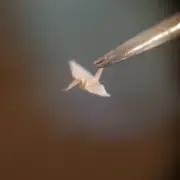 12 Tiny Handmade Origami Paper Crane