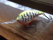Custom Painted Rapala DT-16, Bone Yard