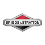 Briggs & Stratton 305447-0605-G1 Horizontal Vanguard Engine