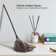 Mini Washable Reusable Ostrich Feather Duster for Home Office Keyboard For Books