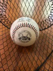 ATLANTIC LEAGUE OFFICIAL GAME USED BASEBALL GREAT CONDITION RAWLINGS BlUE RED