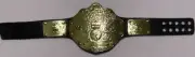 Rare New WWE Ultimate World Championship Belt Title big gold belt for figure WCW