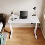 ELEGANT Electric Single Motor Standing Desk 100x60cm Particleboard Tabletop&Base