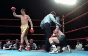 Donny Lalonde Celebrates Knocking Down Mustafa Hamsho Old Boxing Photo