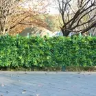 ULAND Artificial Topiary Hedges Panels Plastic Faux Shrubs Fence Mat Greenery...