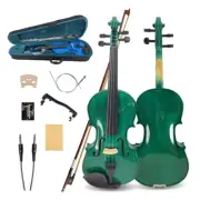 4 string Electric Violin 4/4 Acoustic Violin with Ebony fittings for Students
