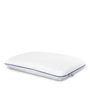 Sealy Chill Gel Memory Foam Pillow, Standard