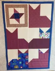Scrappy CAT blocks quilt top; wall hanging; baby quilt; friendship star; mauve