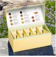 TEA FORTE, "Tea Tasting Assortment" Presentation Box of 20 Gourmet Tea Infusers
