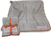 NCAA Logo Brands Texas Longhorns Frosty Fleece Blanket, Team Color